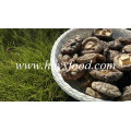 Classifique um Cogumelo Shiitake Natural Seco